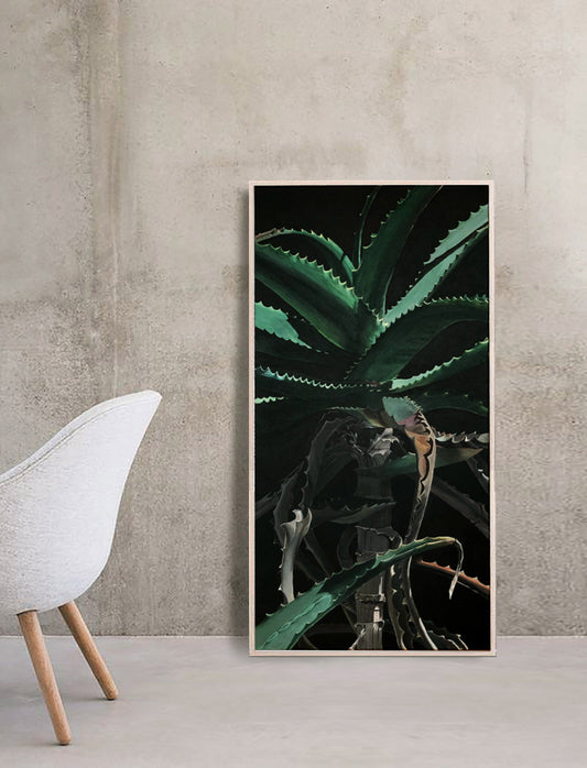 Aloe Africana.