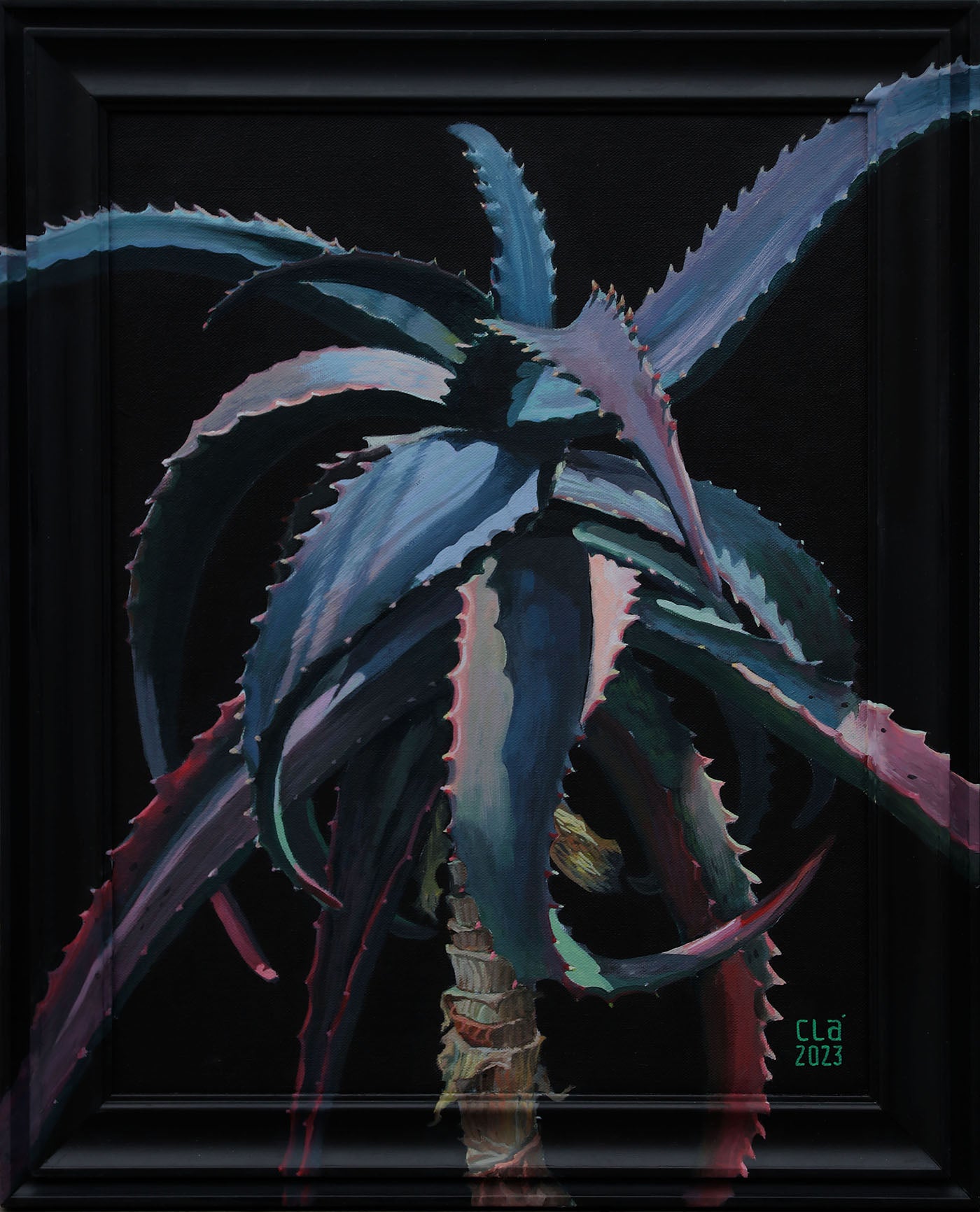 Blue plants - Bundle