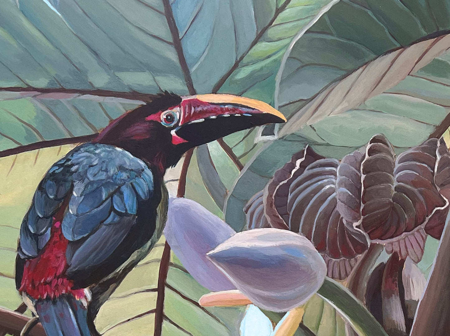Aracari toucans.