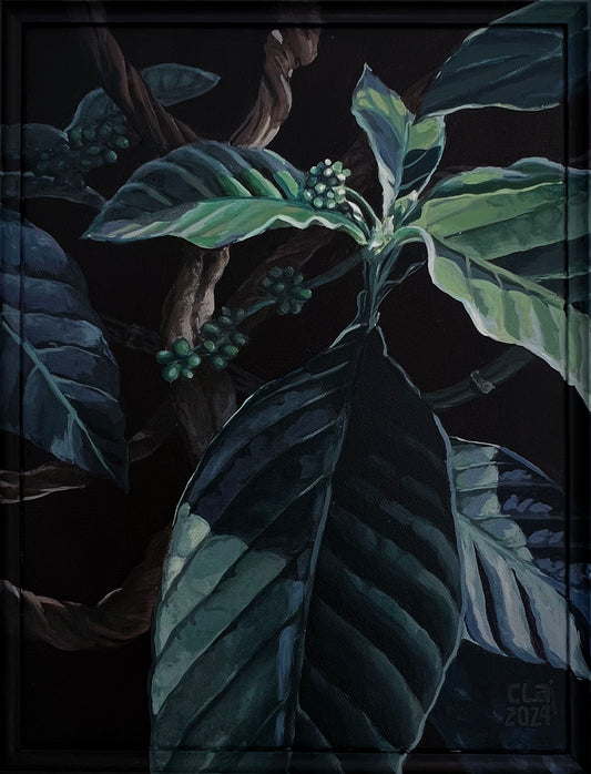 Mestra Ayahuasca