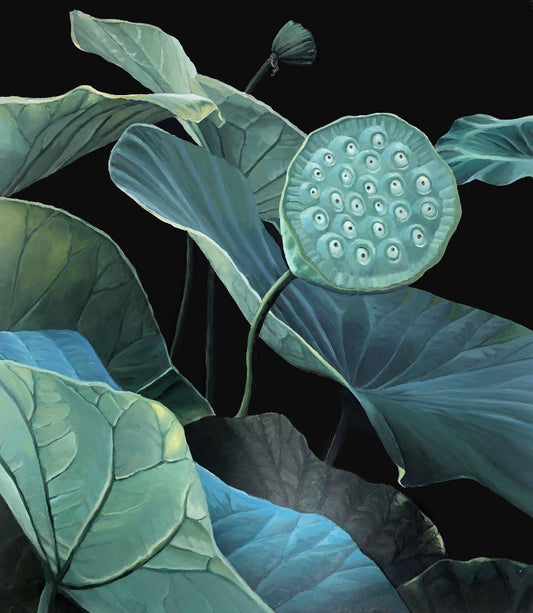 Seeds of Lotus.