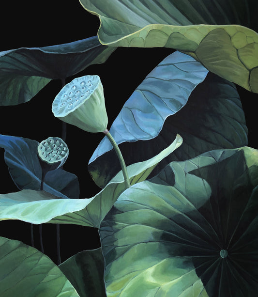 Seeds of Lotus II.