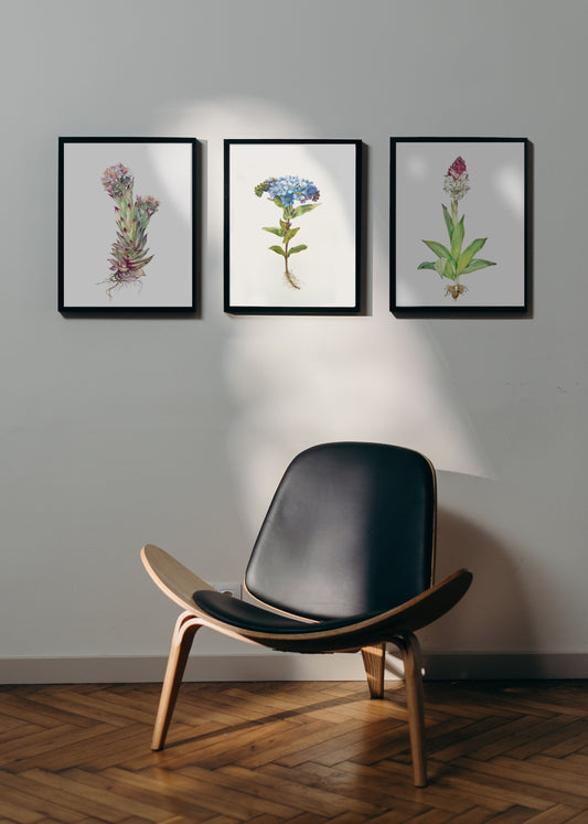 3 Alpine Flora paintings