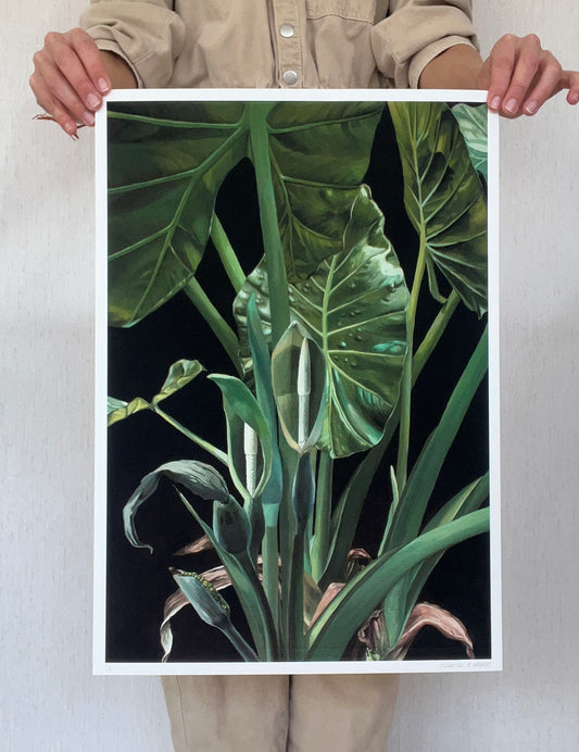 Elephant Ear - Signed print.