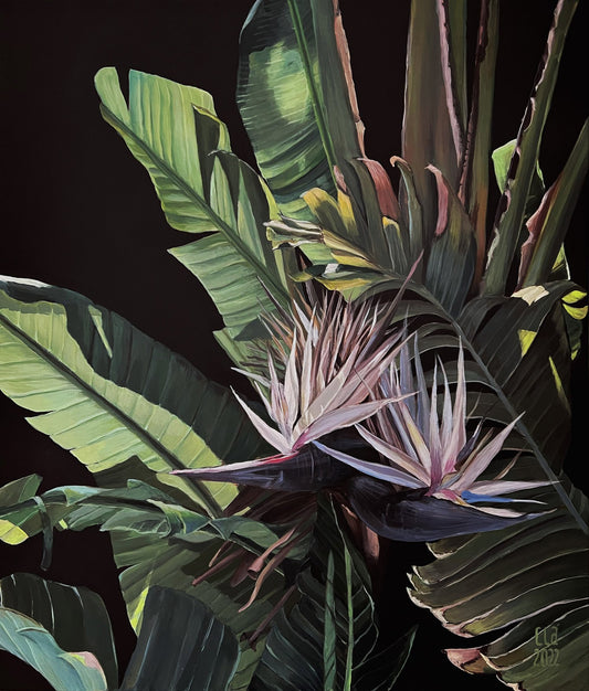 Giant Bird of Paradise.
