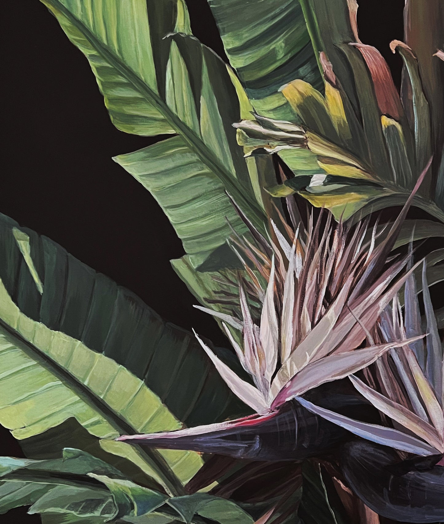 Giant Bird of Paradise.