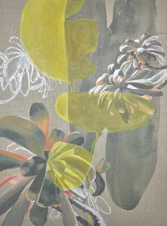 Jade plant