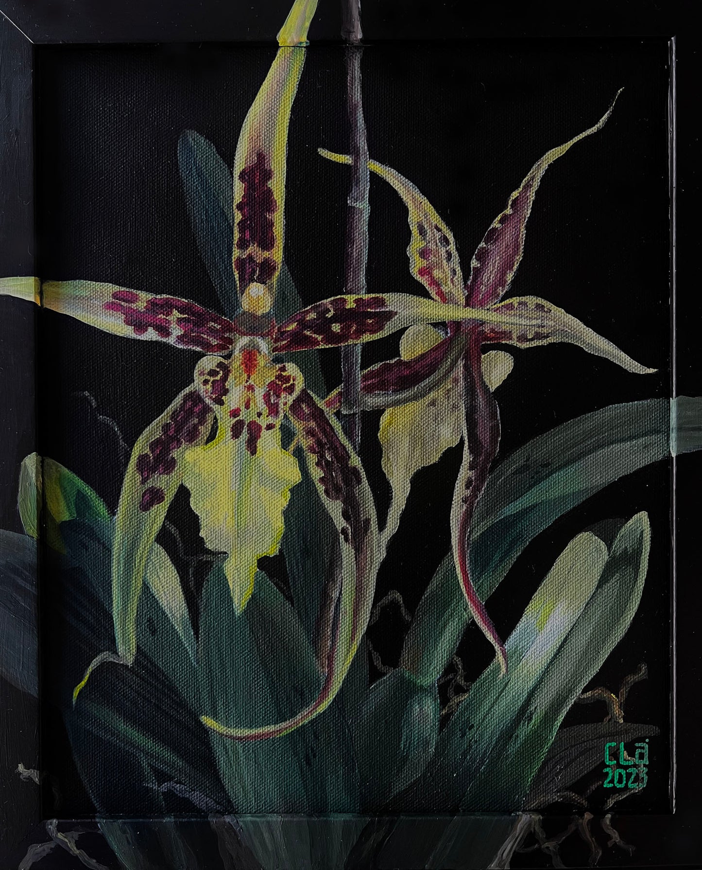 Brazilian upcycled orchids