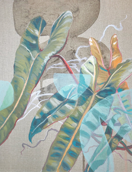 Philodendron Billietiae