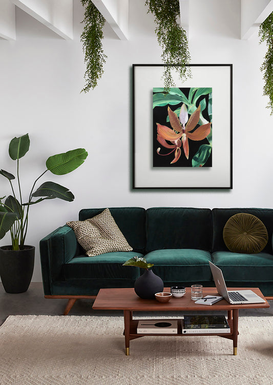 Cycnoches Orchid