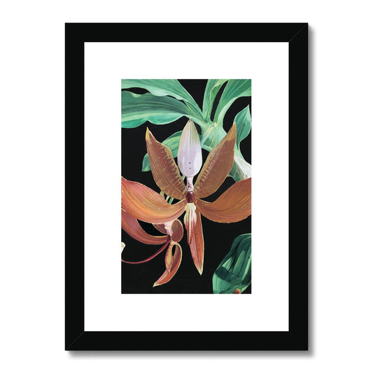 Cycnoches orchid Framed & Mounted Print.