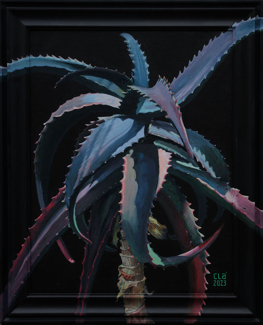 Queen Aloe