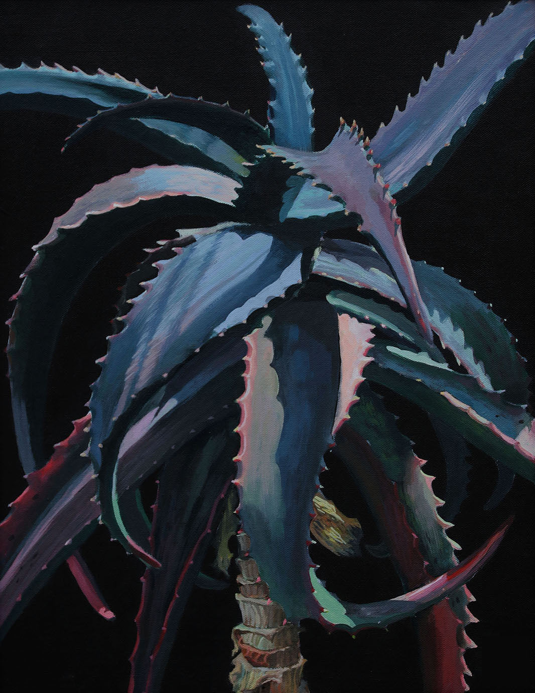 Lush plants A4 prints (set of 4)