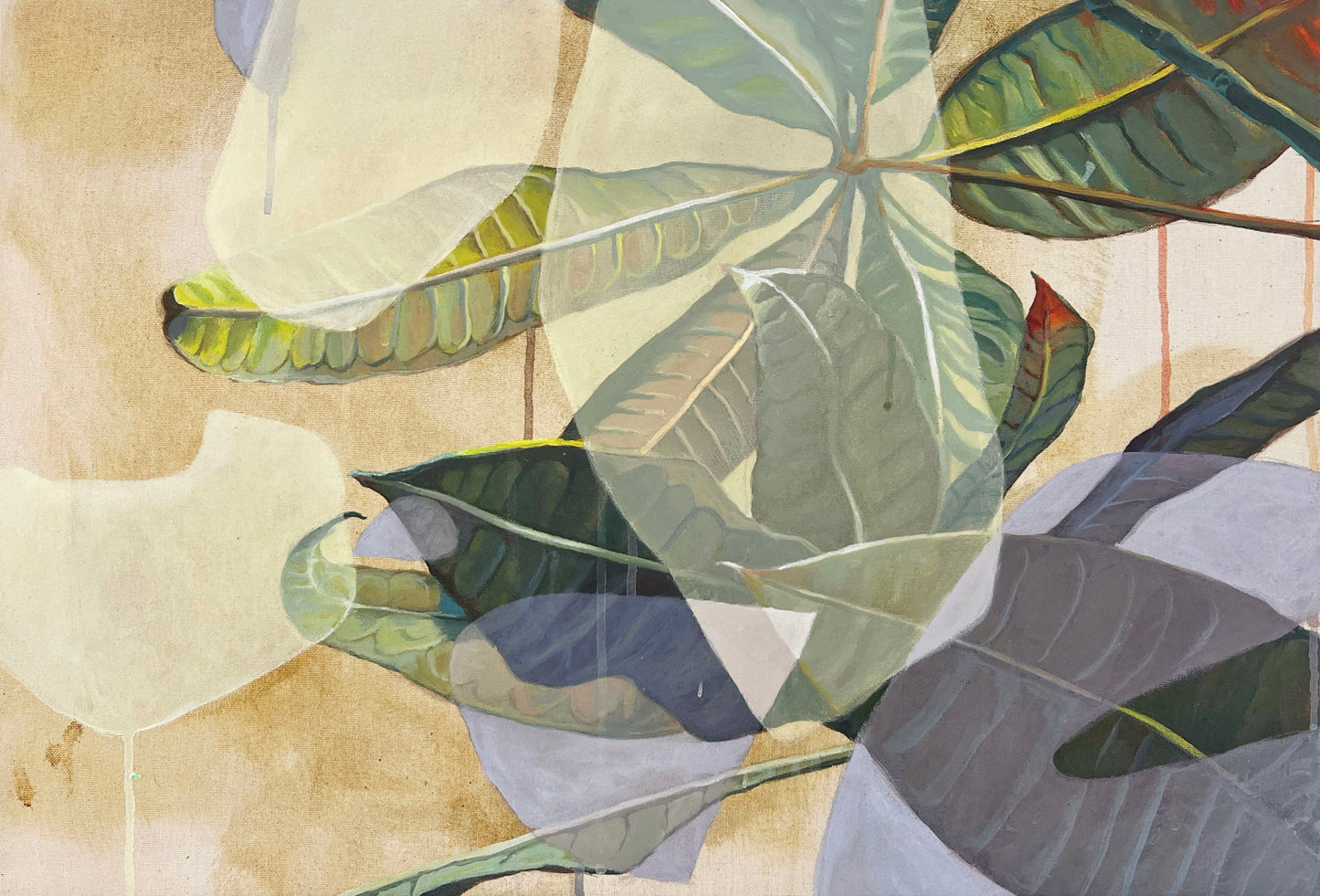 Under the canopy