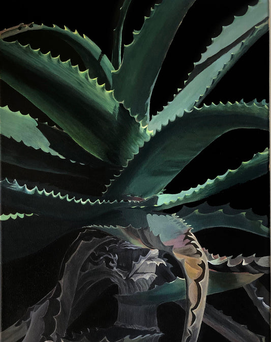 Lush plants A4 prints (set of 4)