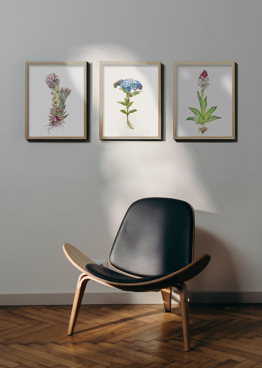 3 Alpine Flora paintings