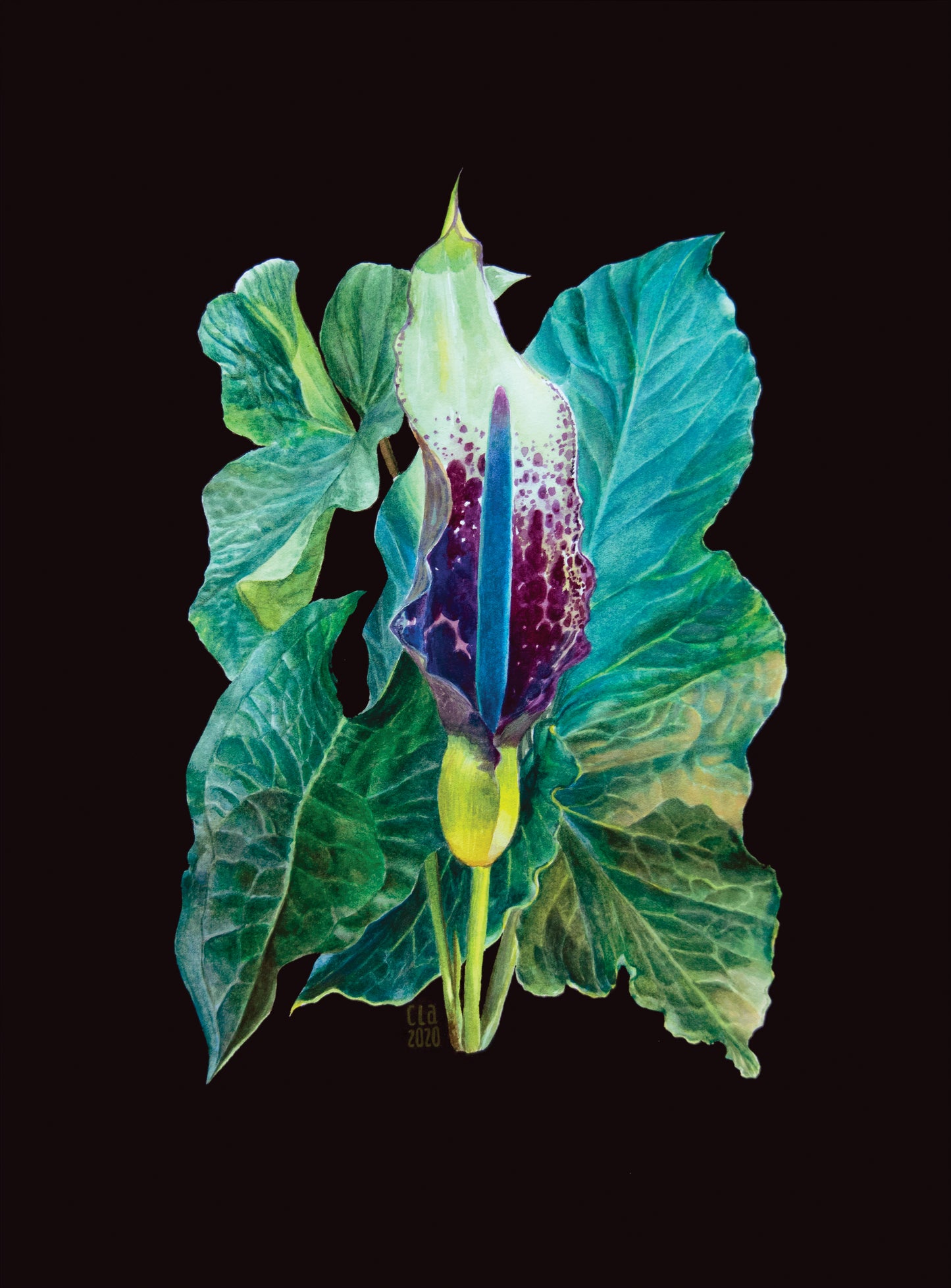 Tropical plants A4 prints (set of 4)