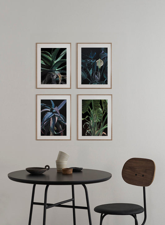 Lush plants A4 prints (set of 4)