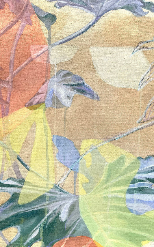Philodendron Hope