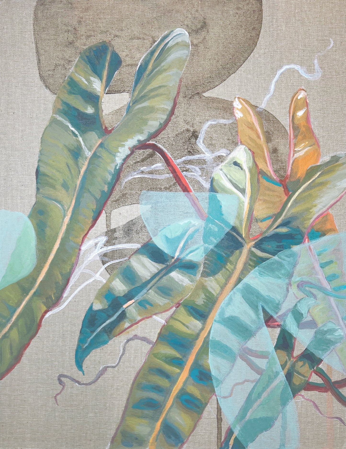 Philodendron Billietiae