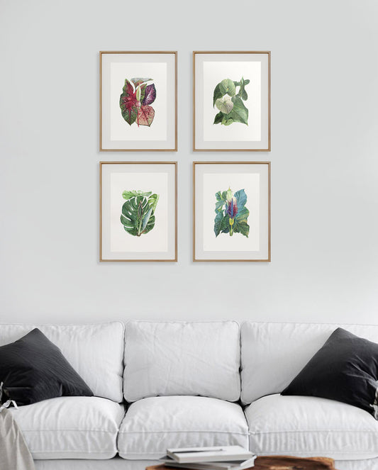Tropical plants A4 prints (set of 4)
