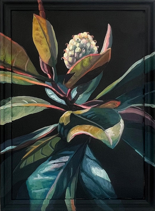 White Magnolia