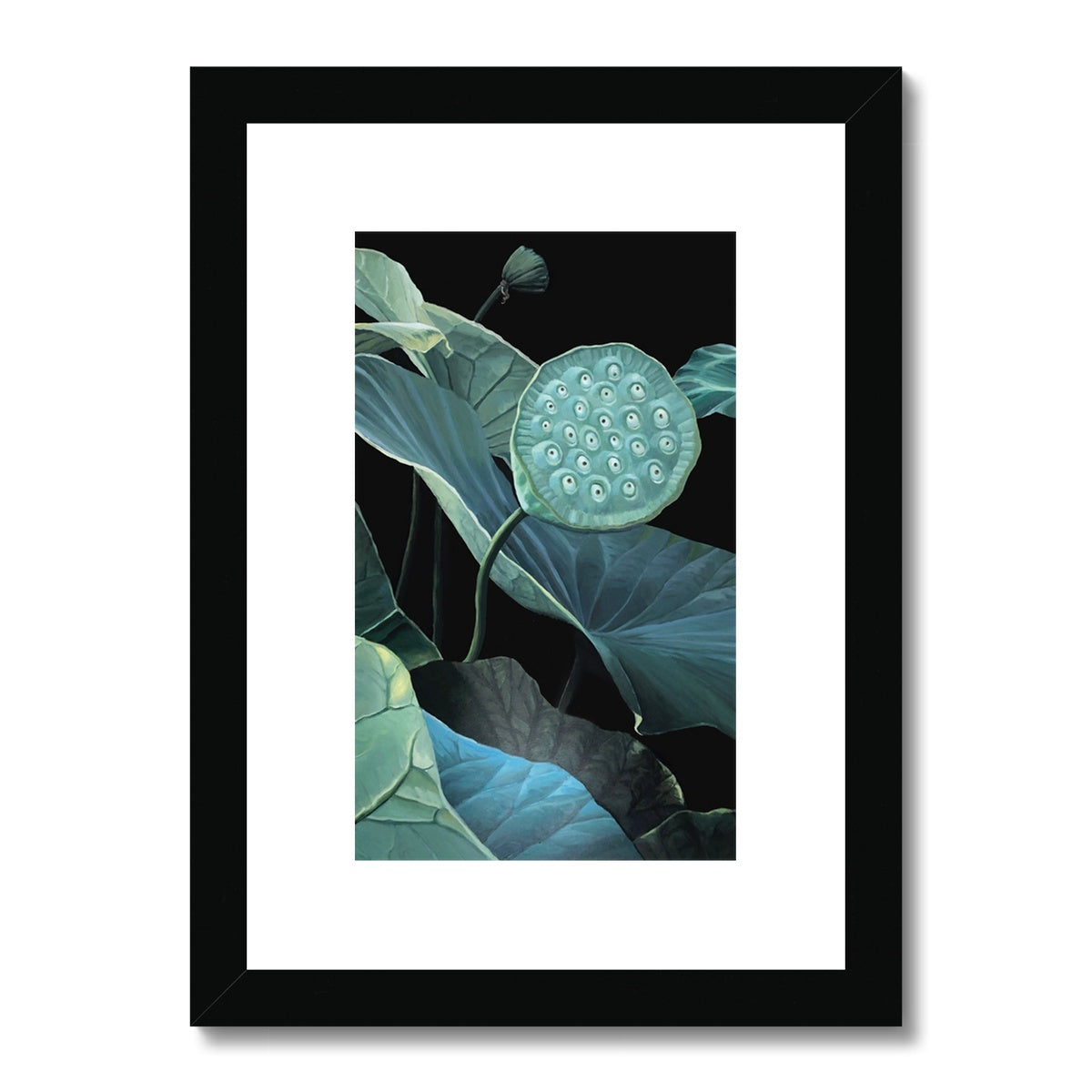 Seeds of lotus Framed & Mounted Print
