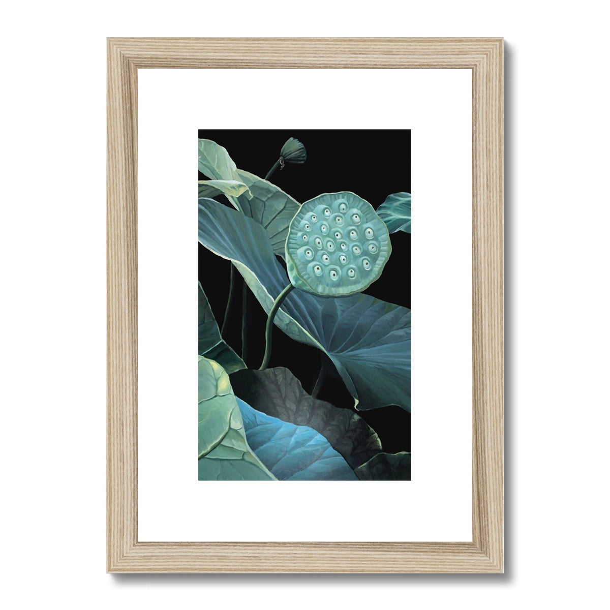 Seeds of lotus Framed & Mounted Print