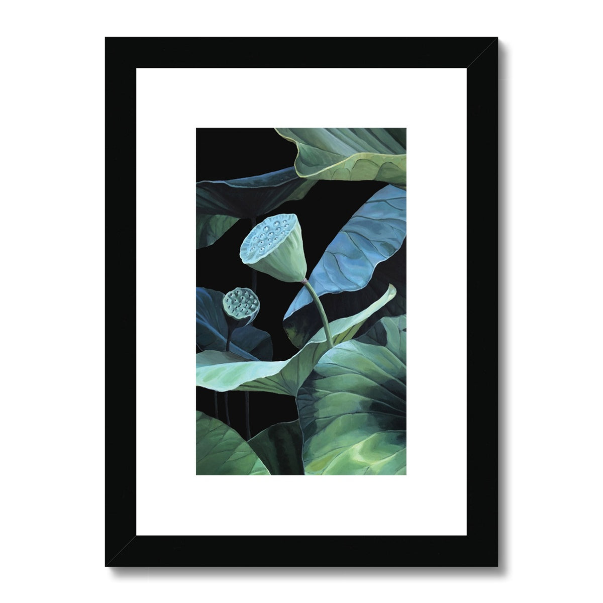 Seeds of lotus II Framed & Mounted Print