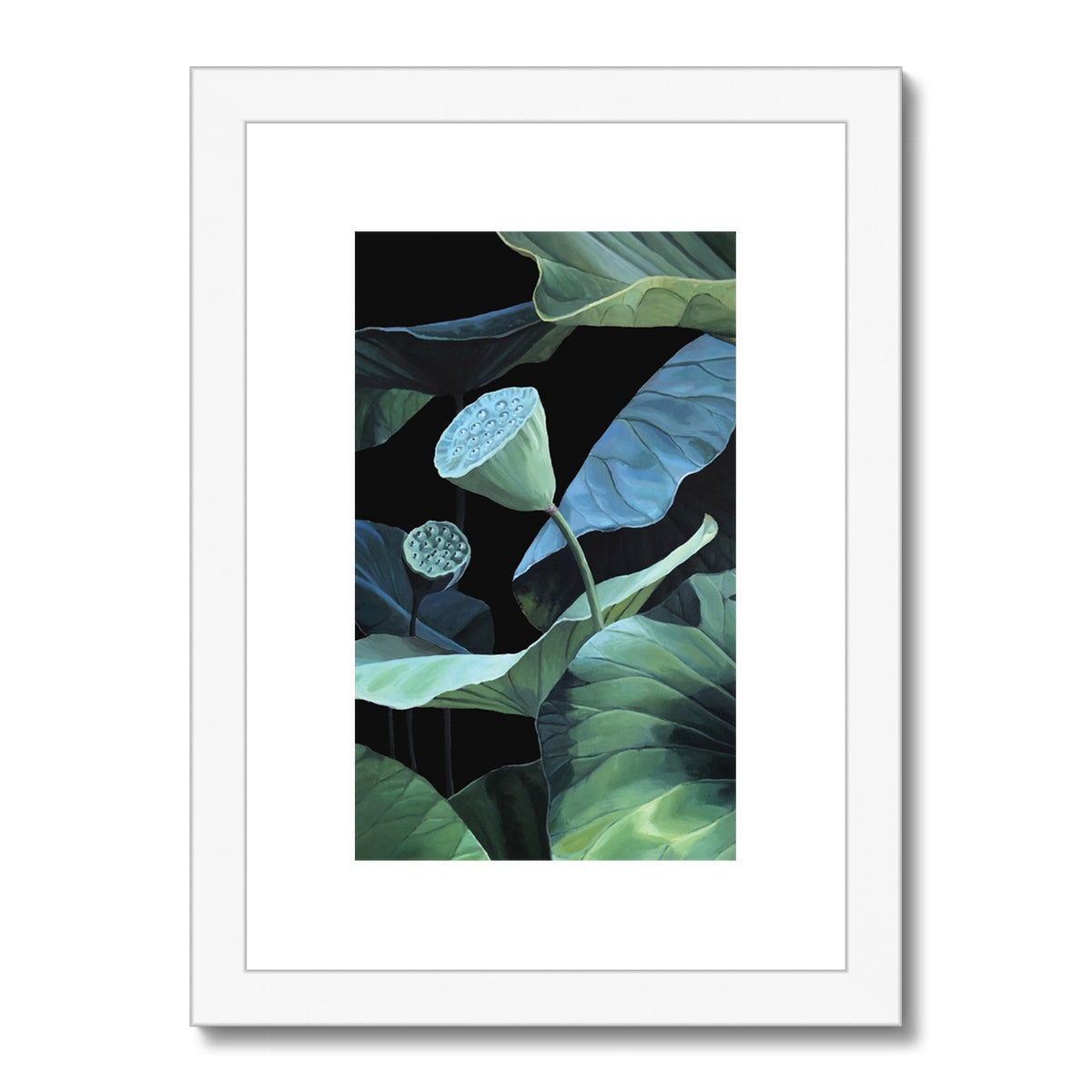 Seeds of lotus II Framed & Mounted Print