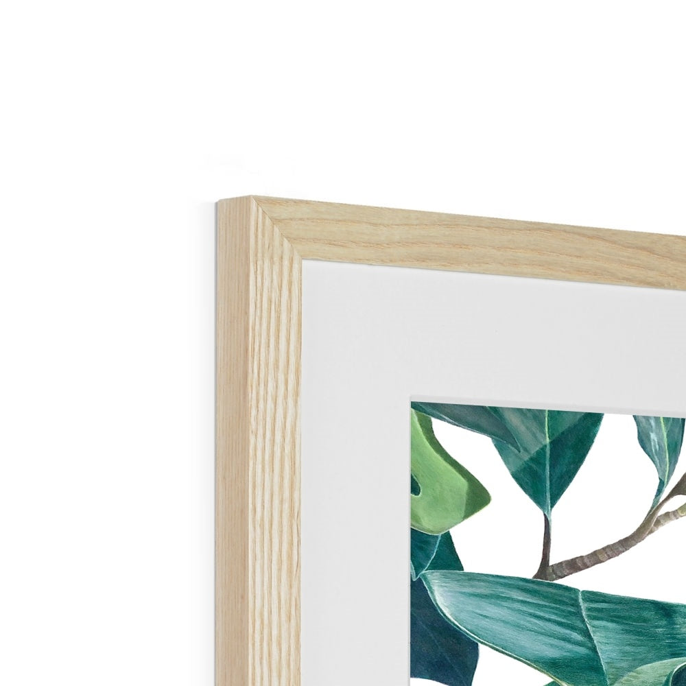 Magnolia bloom Framed & Mounted Print.